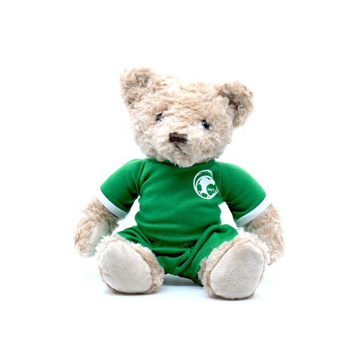 TEDDY BEAR, GREEN SHIRT / GREEN SHORT