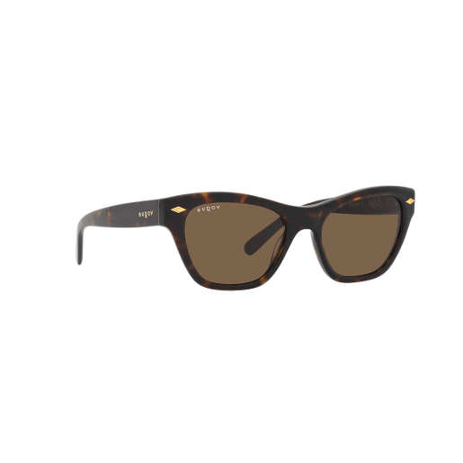 Vogue Vo W656 Cat Eye Polyamide Standard Dark Brown 51 Acetate Sunglasses